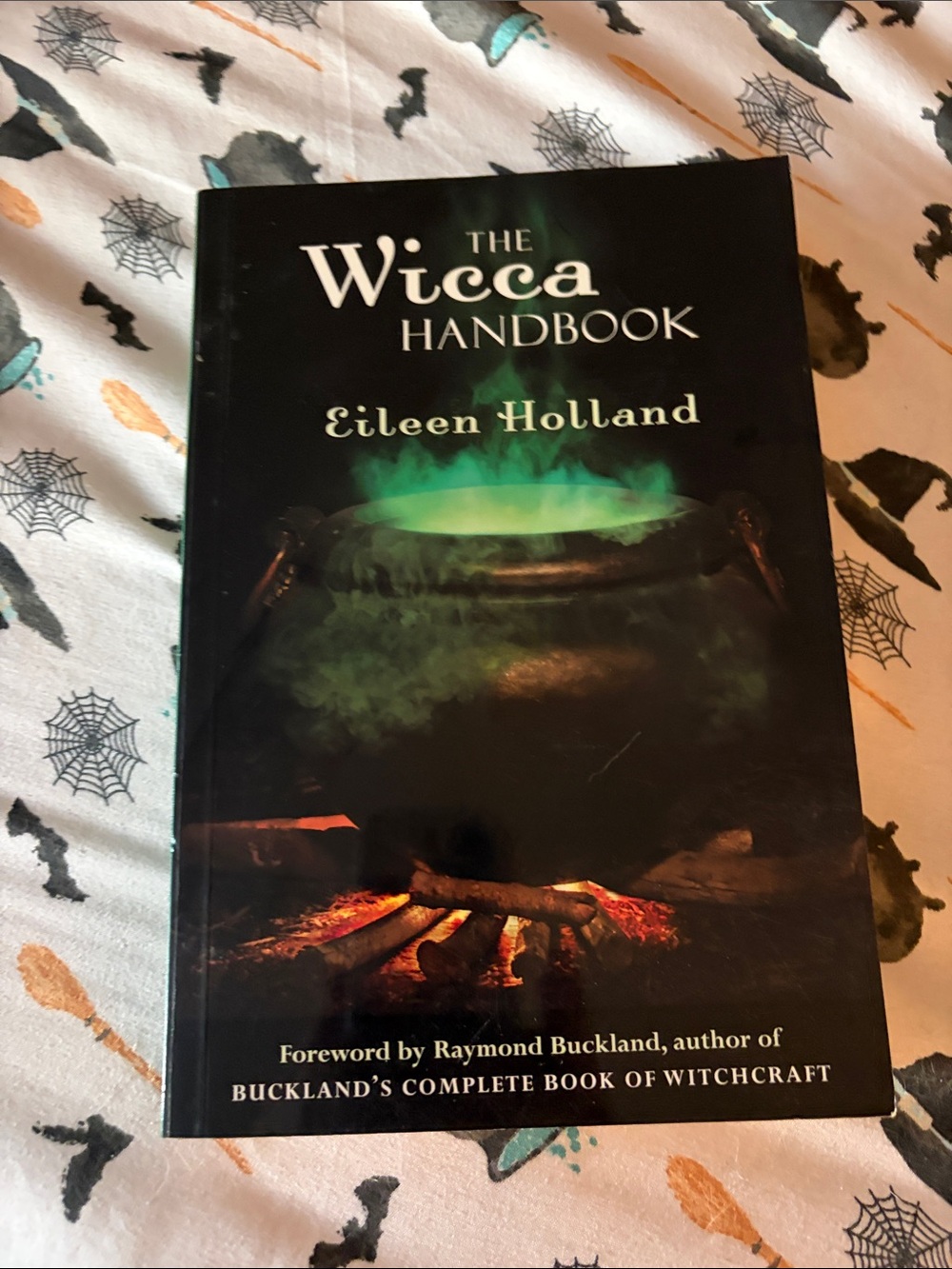 The Wicca Handbook by Eileen Holland - Black Cover